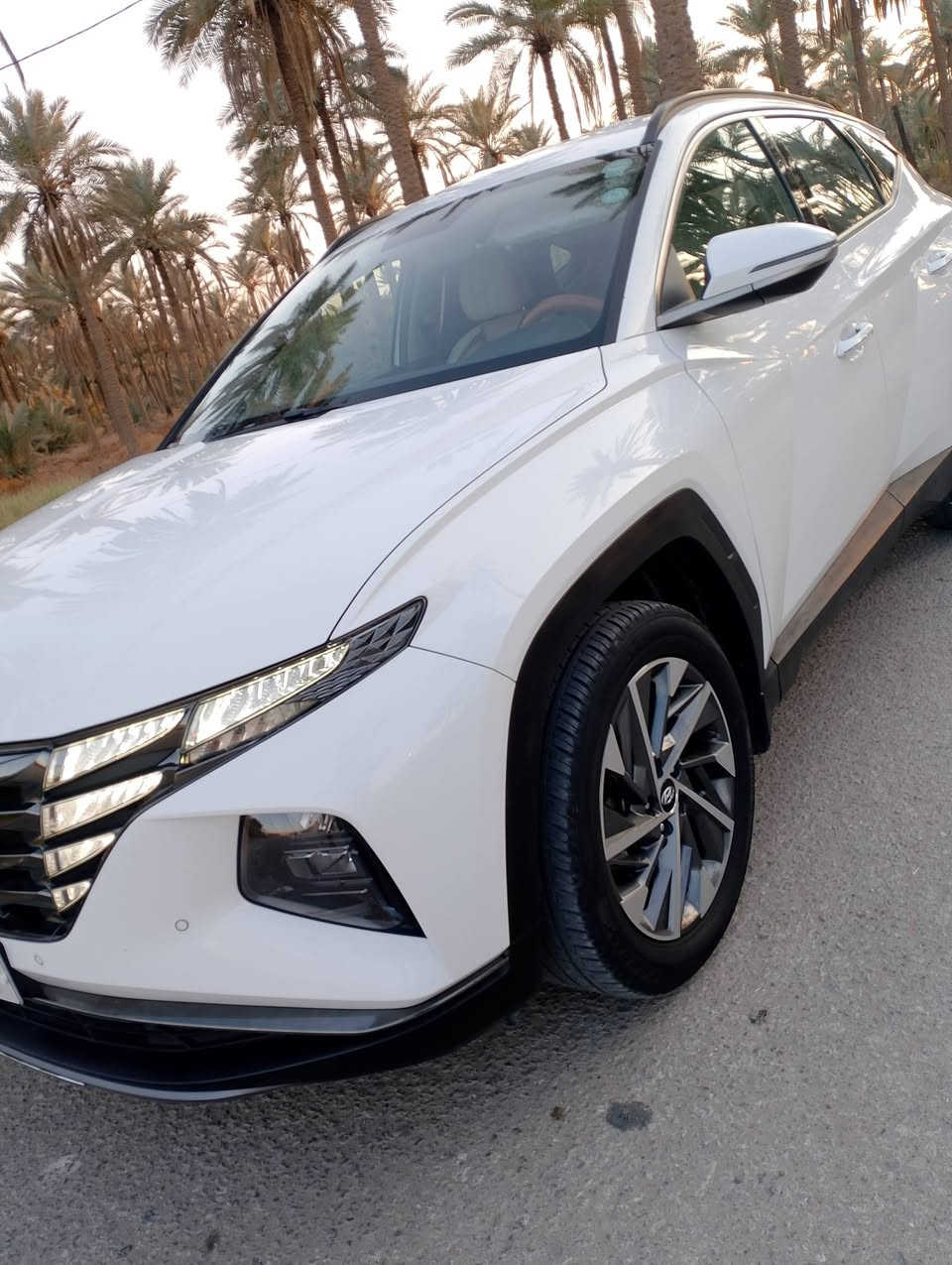 السلام عليكم توسان خليجي موديل 2020 كفالة عامه من الصبغ والتبديل والبارد تحويل مباشر فول مواصفات قماره حديد محرك 2000دوش مكان كربلاء سعر 198 شراي يتصل ***********
