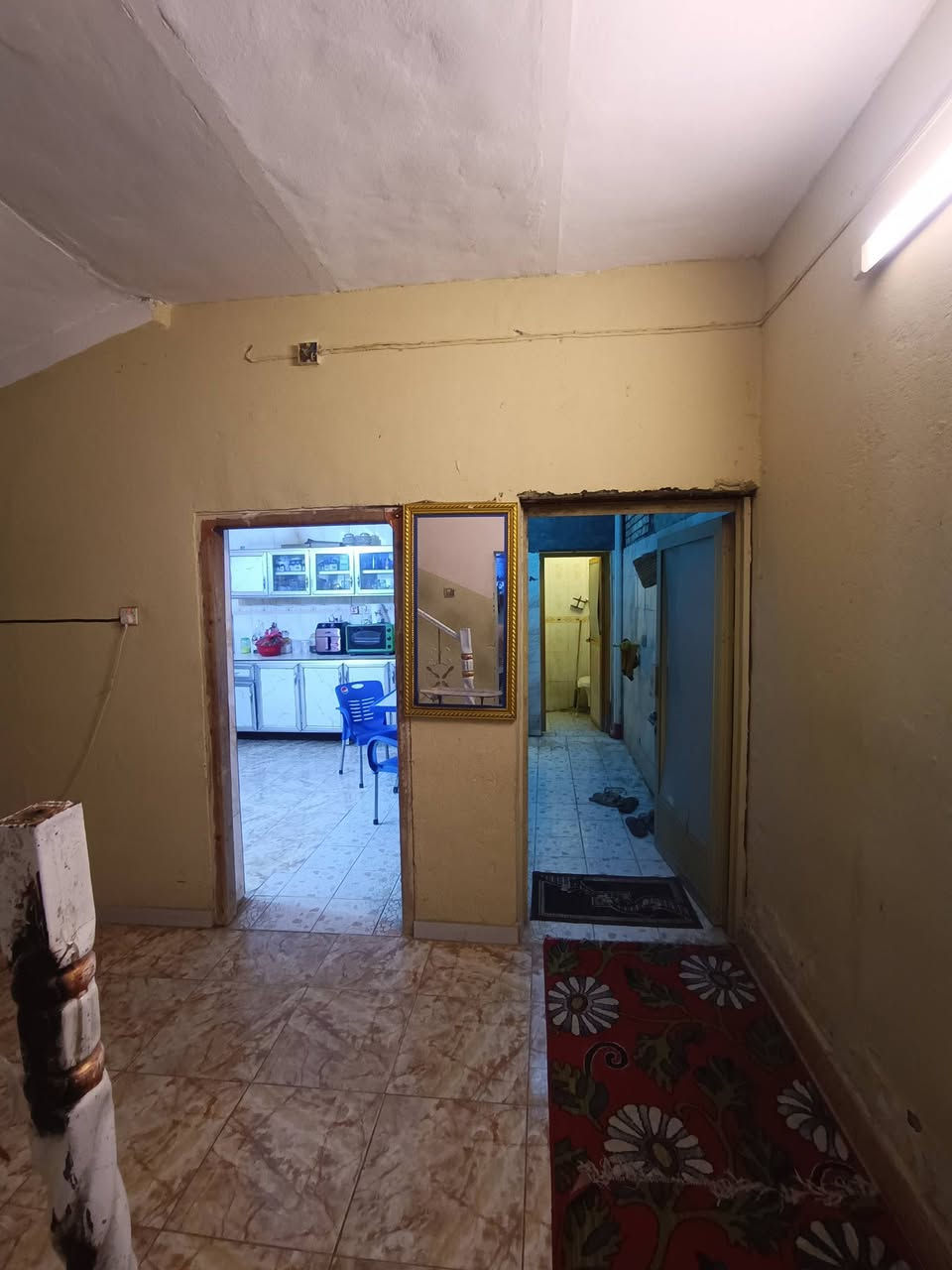 السلام عليكم بيت للبيع 180 م ركن منطقة دور الزراعه مجاور شارع ابو السماعات بلخدمي بيت طابقين يحتوي الطابق الارضي
غرفة ظيوف وصاله ومطبخ وكراج وغرفه فوك وجوه +بلكونه  عله طول الكراج وبيتونه 
الطابق الثاني يعتبر مشتمل معزول داخل البيت 
يحتوي عله مطبخ وصاله وغرفه داخله سويت 
للاستفسار الاتصال ع الرقم ***********
