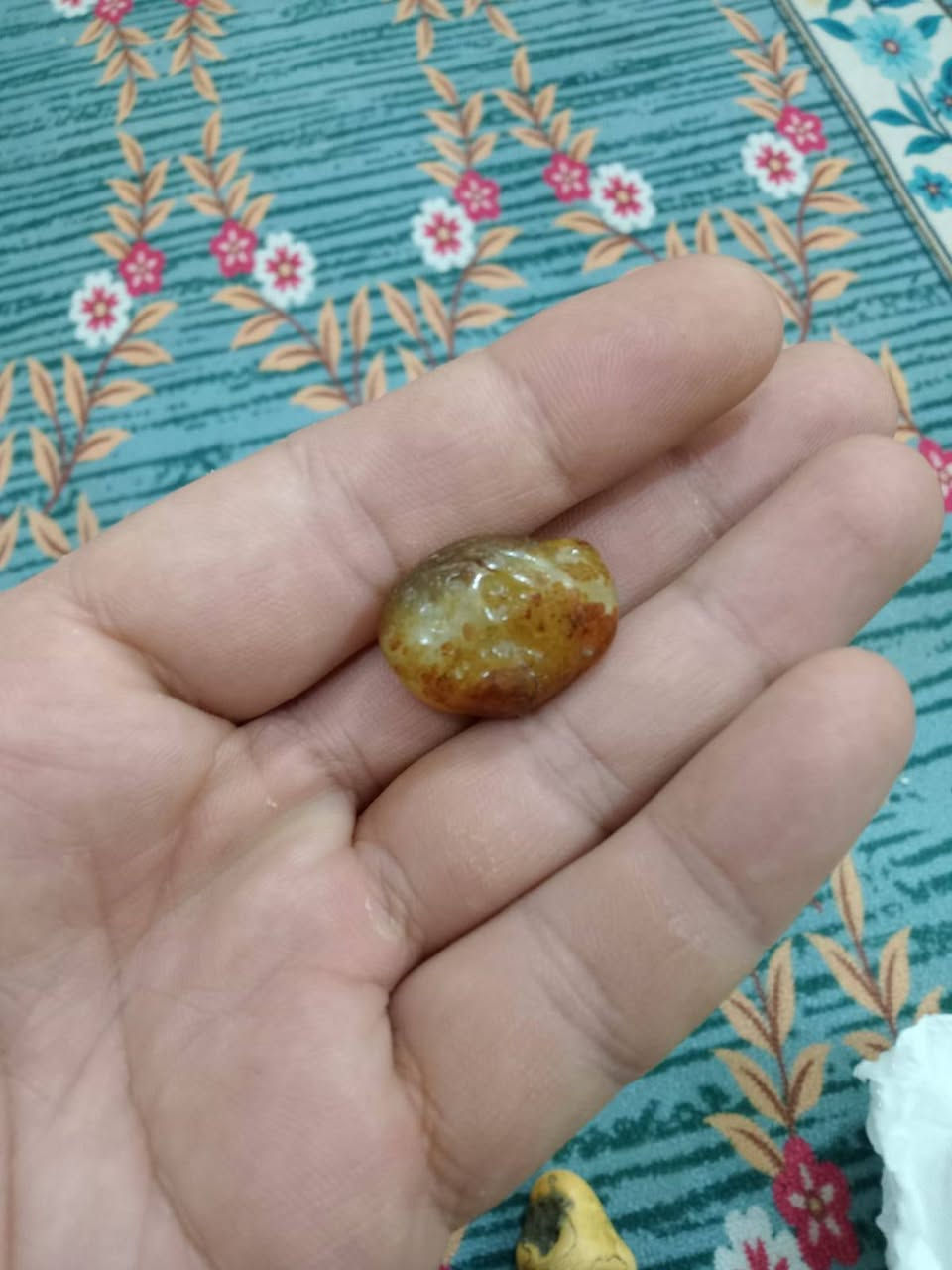 مراوس المحبس


**إذا كنت صاحب هذا الإعلان وتريد حذفه لأي سبب، رجاءا أرسل رسالة إلى الدعم الفني**