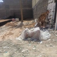 حي العباس الحولي • ١٢٨م • سند ٢٥