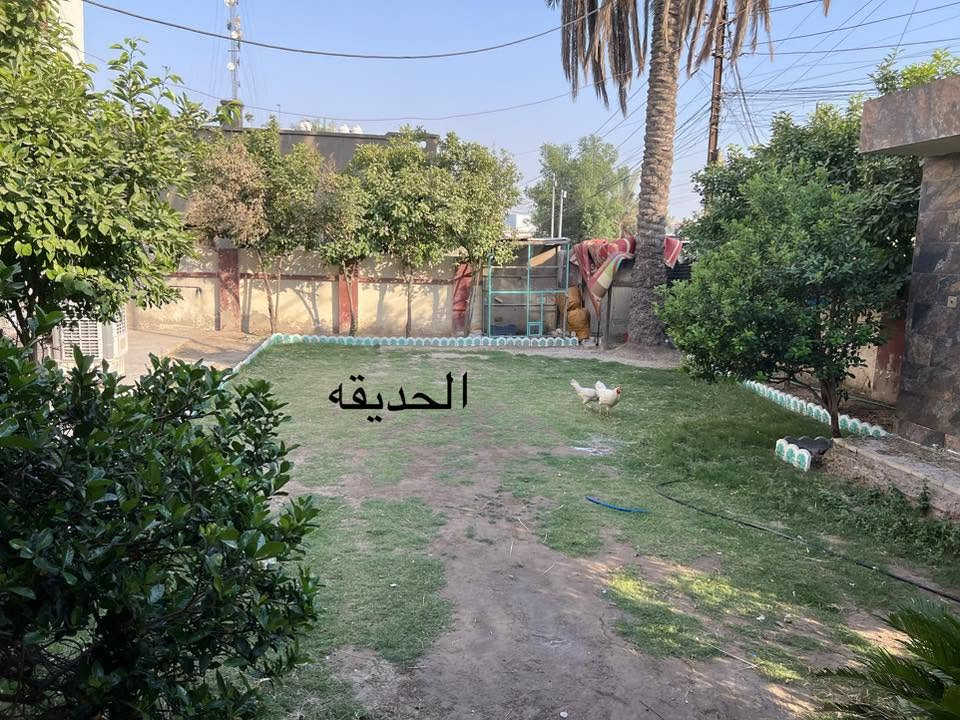 السلام عليكم بيت للبيع الكبيسي قرب سوگ الهوى موقع جدا ممتاز قرب إعداد المدربين . يبعد عن الشارع العام اقل من ١٠٠ متر 
الاستفسار الاتصال (***********)
