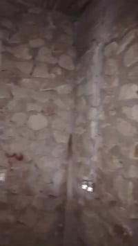 بروانه • حجز • خدمات