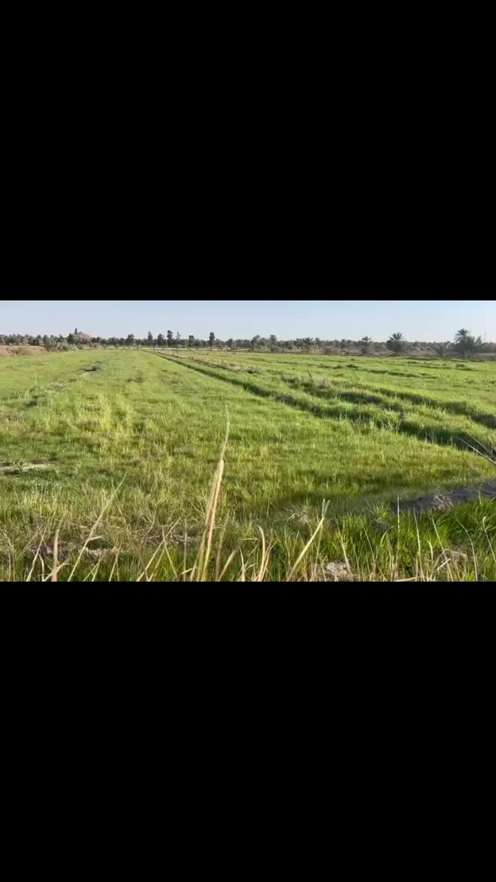 امتلك أرضك اليوم، وابنِ مستقبل أحلامك غداً. قطع أراضي متميزة في مواقع استراتيجية، استثمار آمن وحياة هادئة تنتظرك!"، تعتبر هذه العبارة مزيجاً فعالاً يجمع بين الطموح الشخصي والأمان المالي. 
مساحة الارض 3دونم
نوع الارض طابو زراعي سند 25
تبعد عن شريف بنت الحسن 3كليو قريبه عن بزل حجي
لاستفسار اكثر الاتصال علي الرقم)(***********)
