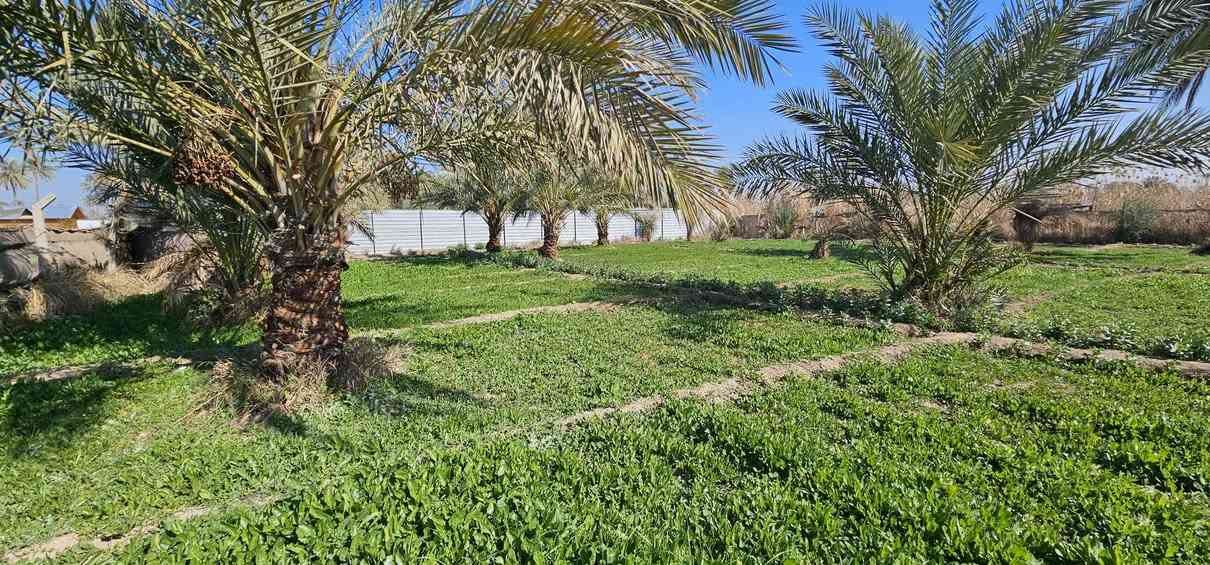 حياكم الله متابعينا الكرام... الملاك للعقارات كربلاء  ...
..... احلا عرض للي يردون أرض بموقع يتسم بالهدوء ....
💥 2 دونم واجهة كل دونم 60 متر والباقي نزال 
💥 طابو زراعي سند 25 تحويل أسهم بأسم المشتري 
💥 دونم مخدوم ودونم جاري الخدمة 
💥 يناعن كلهن أو أقل حسب رغبة المشتري 
💥 بالقرب من منتجعات ترفيهية عائلية خاصة 
💥 تصلح سكن أو منتجع ترفيهي جميع الخدمات متوفرة 
🛑 العنوان// كربلاء _ شارع النجف عمود 1141 _ منطقة الجذار _ تبعد عن الإمامين عليهم السلام 18 كيلو تقريبا 

هل لديك عقار للبيع؟ راسلنا.

بيع_شراء_العقارات_كربلاء

منازل وقطع سكنية وأراضي زراعية بمساحات مختلفة 

نستقبل عروضكم في مدينة كربلاء المقدسة 

كل المناطق داخل كربلاء 

شنــو عندك عقــــار للبيع  راســـلنا 🅿️

__________________
للاستعلام والاستفسار:

موقع المكتب: 
💥الزبيلية _ شارع الرابط _ مكتب أملاك الخير _ مقابل المعمل المقرنص الأوربي 💥

***********
***********      محمد أبو ملاك الحسناوي
