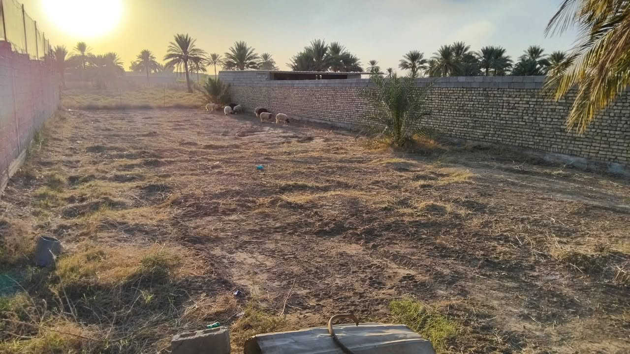 السلام عليكم قطعة أرض للبيع سند زراعي ٢٥ تحويل مباشر واجه ١٥م نزال ٤٢م مساحتها ٦٣٠م شارع ١٠م قضاء بلد خلف موسسة العين حي المستقبل اتصال  ***********
