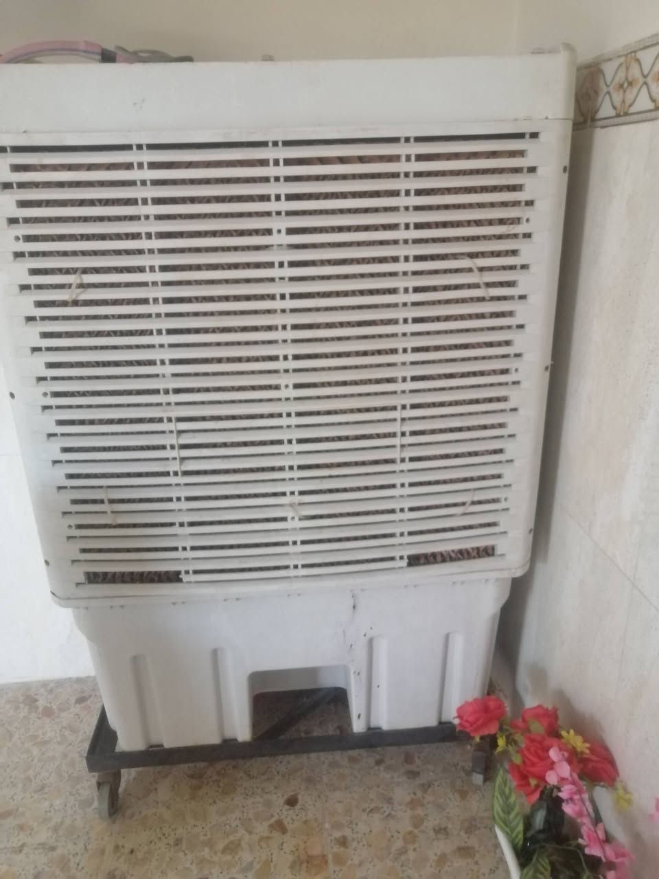 للبيع السعر ٦٠ وبيه مجال


**إذا كنت صاحب هذا الإعلان وتريد حذفه لأي سبب، رجاءا أرسل رسالة إلى الدعم الفني**