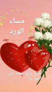 الاورفلي • ١٠٠م • منفردات