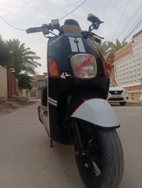 بوليس • كلجات رياضي • سلف