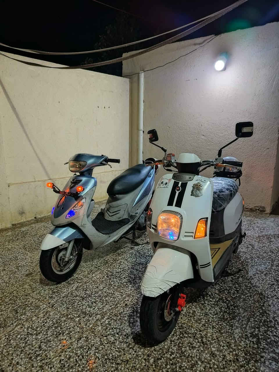 ماكس منغولي للبيع مكفوله كفاله عامه وصل موجود راسلني وبيك خير وتدلل


**إذا كنت صاحب هذا الإعلان وتريد حذفه لأي سبب، رجاءا أرسل رسالة إلى الدعم الفني**