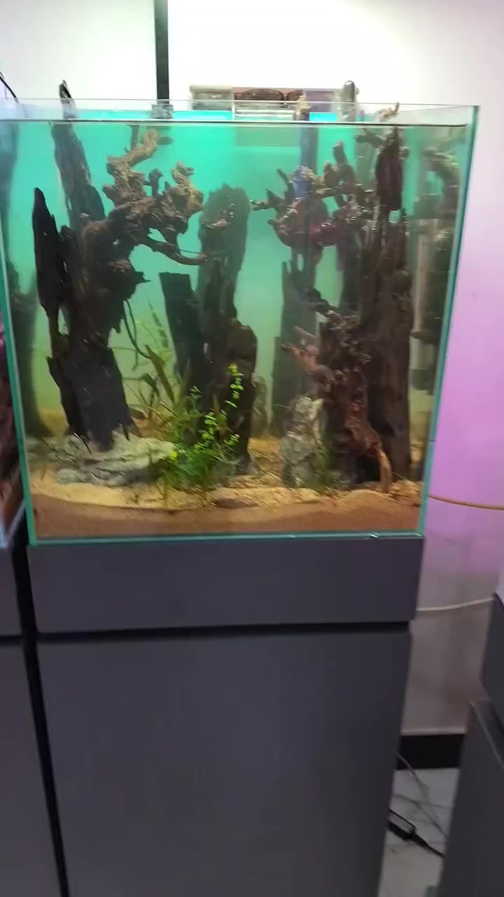 حوضين قياس 40*40*40 مع كابينات قياس 80*40 كامل مع ديكور اشجار بونساي ودراكون وود ديكور كامل مع اختاره عدد2 فلتر هانك وفلتر اسفنجي مع الماطور رمل ذهبي مجموعة نباتات مختلفه مع هيتر عدد اثنين
سعر الواحد كامل 175الف مع الكابينه والتفاصيل مكاني بغداد الجديدة***********
