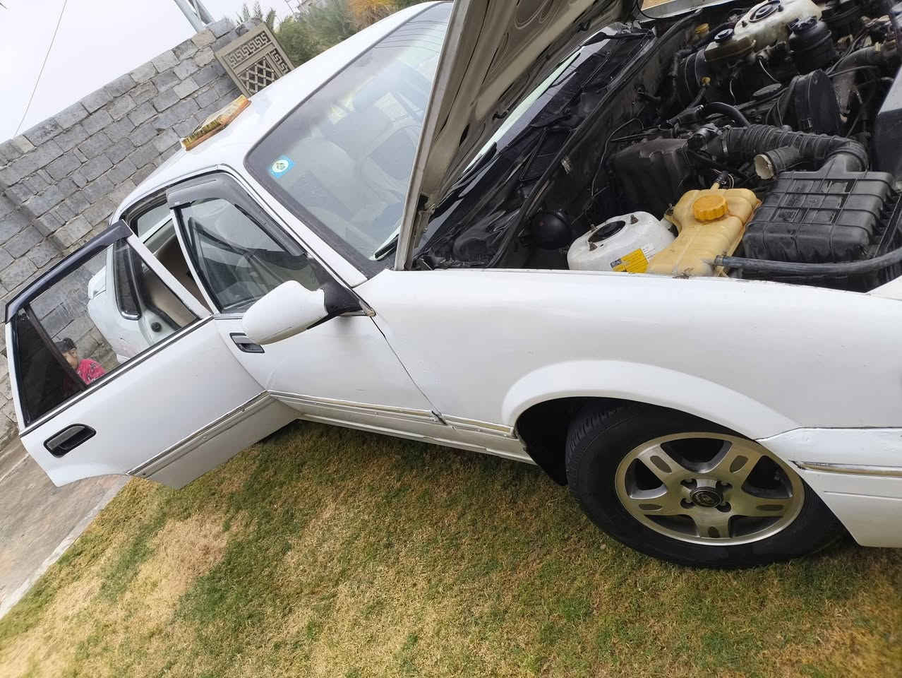 السلام عليكم
للبيع  برنس فراشه 96 رقم بغداد  مكانه الانبار الفلوجه سعرها 34
***********
