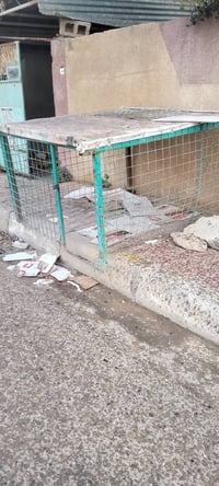 قفص طيور • حديد مشبك • ١٫٥م×٢م