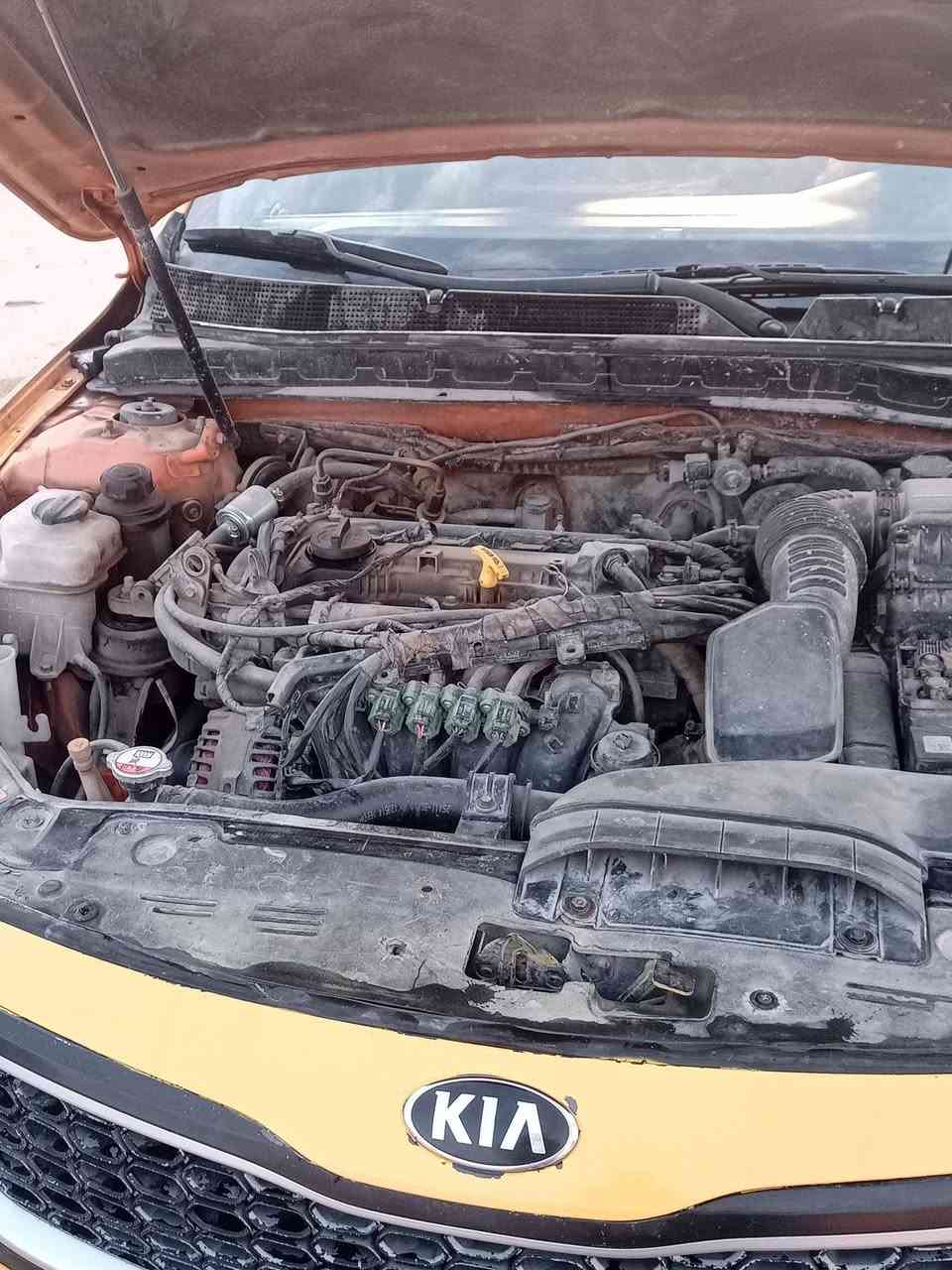 سلام عليكم كيه اوبتيما موديل12 وارد كوري مكينه 2000اربع حساسات كير 6نمر حادثه جاملق وبنيد كير ومكينه وحداديه شرط منضومه غاز رقم بغداد دولي سنويه ال 29 سياره بسمي
مكاني ديوانيه 
بيع او مروس أقل من عدها 
سعرها 108وبيه مجال 
رقم الاتصال***********
