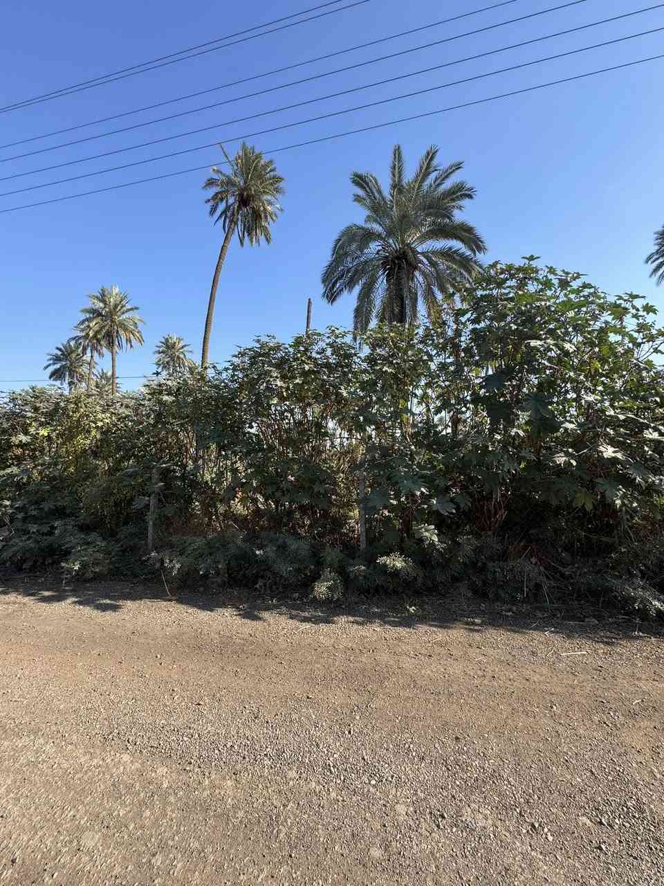 قطعة أرض للبيع
المساحة: 300 متر
الواجهة: 13 متر
النزال: 23.25 متر
الموقع: شارع الفحامة – ليث العبيدي – دخول رابع تيل
السعر: 95 مليون
قابل للتفاوض استفسار 
***********
