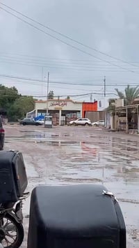 عروض الجمعة • تفليش • حي القادسية