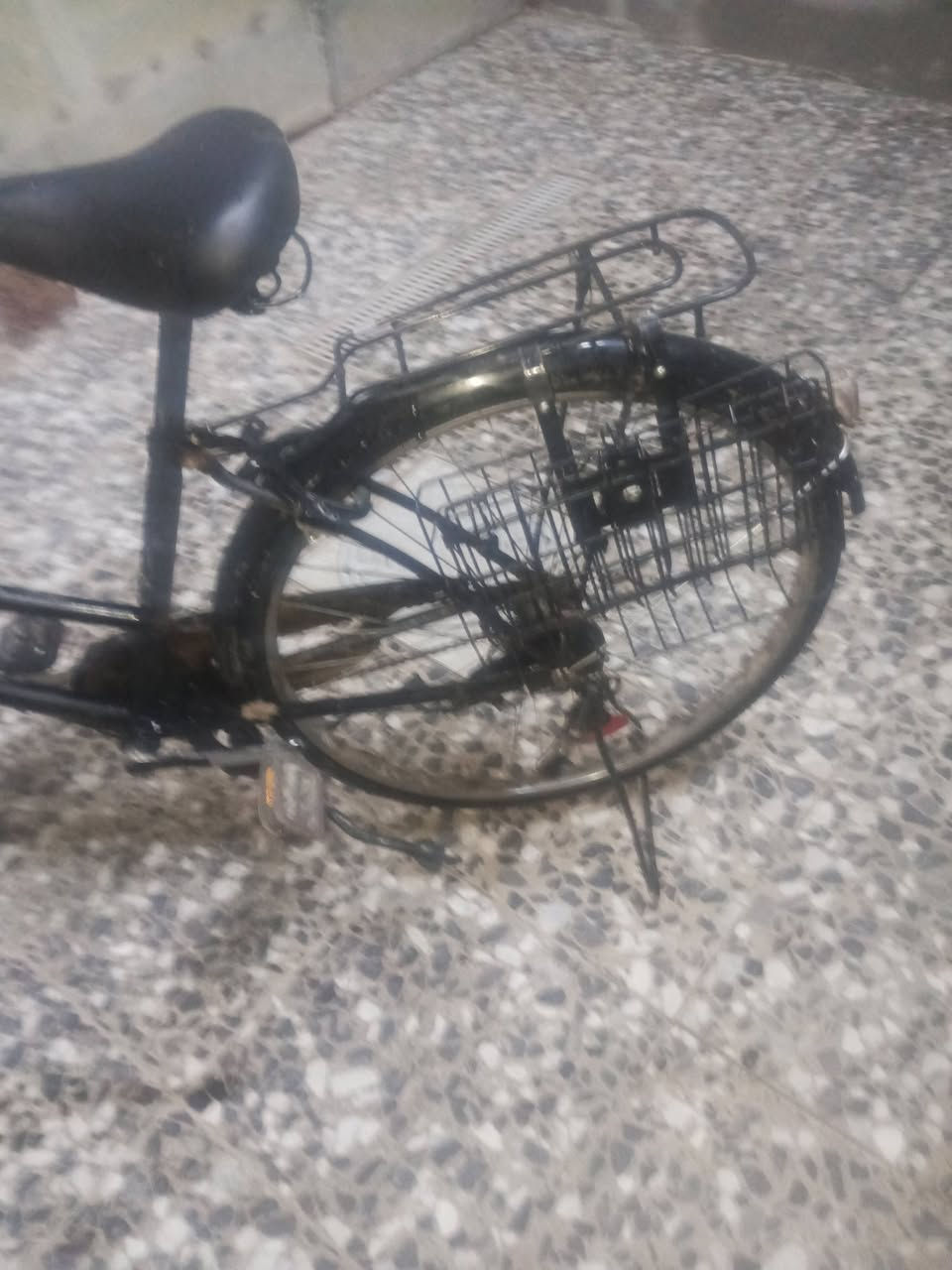 سلام عليكم  باسكل مصبوق جماليه  بكانه بغداد رشاد لسهر 60 قفل 📷🔐


**إذا كنت صاحب هذا الإعلان وتريد حذفه لأي سبب، رجاءا أرسل رسالة إلى الدعم الفني**