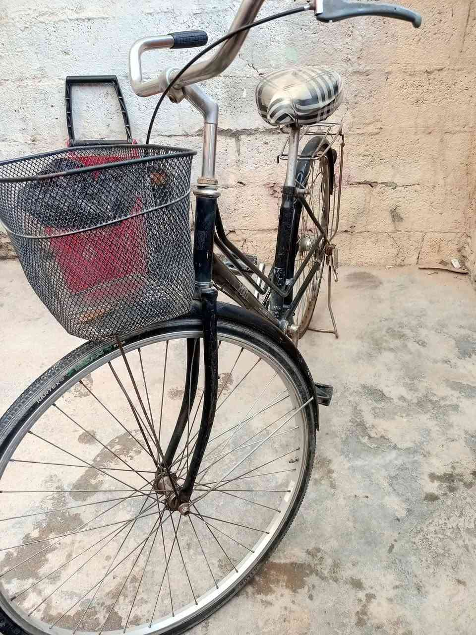 باسكل للبيع مكان كربلاء الجاهز السعر 50 رقم ***********
