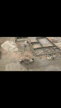 خلفه بناء درجة أوله اشراف مهندسين مصداقيه بالعمل هذا رقم انتصل   متفرق...