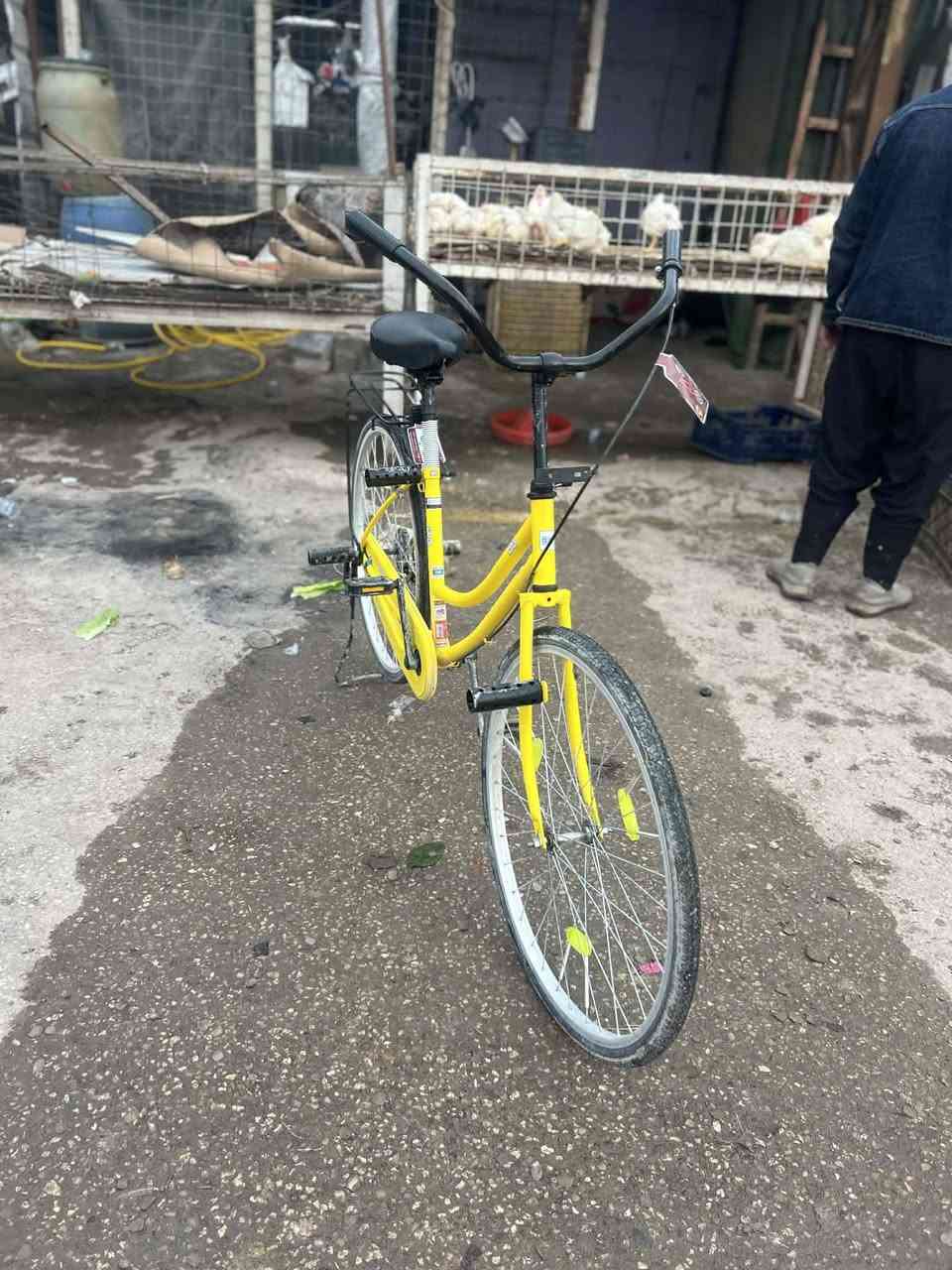 السلام عليكم بايسكل للبيع موديل 22 باسكاله شهر وشويه من نزلته كرار ابو النقش بايسكل سعره خاص عنواني نجف شارع كربلاء قريب عن غير الغدير رقم موجود*********** امراه بايسكل عادي
