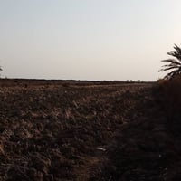 عد ال عواد • كاع زراعيه • ٥ دونم