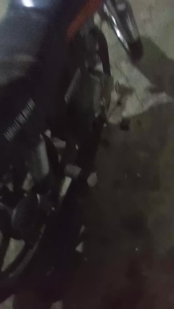 السلام عليكم دراجه للبيع 4 جير مكينه مقفوله ضفيره مقفوله السعر 250 وبيها مجال ***********
