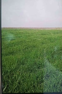 ٣ دونم ٧٠٠م • عقد زراعي • كربلاء الحر الجمالية