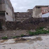 الاربجية • ارض زراعي • ٢٠٠م