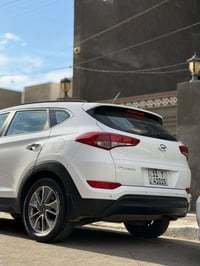 توسان فوول • ٢٠١٨ • كربلاء