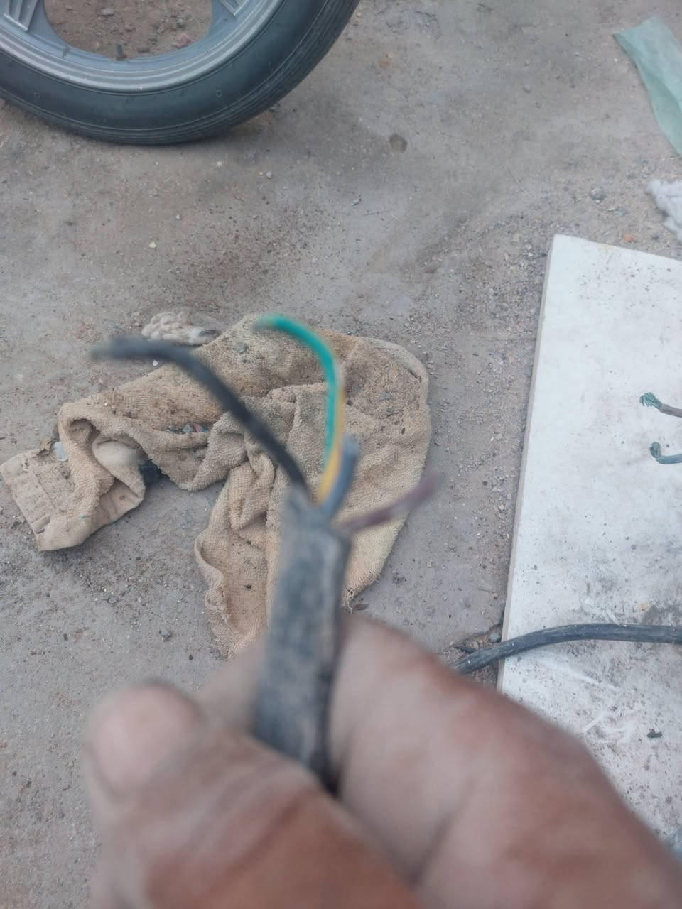 بطوريج مكانهم


**إذا كنت صاحب هذا الإعلان وتريد حذفه لأي سبب، رجاءا أرسل رسالة إلى الدعم الفني**