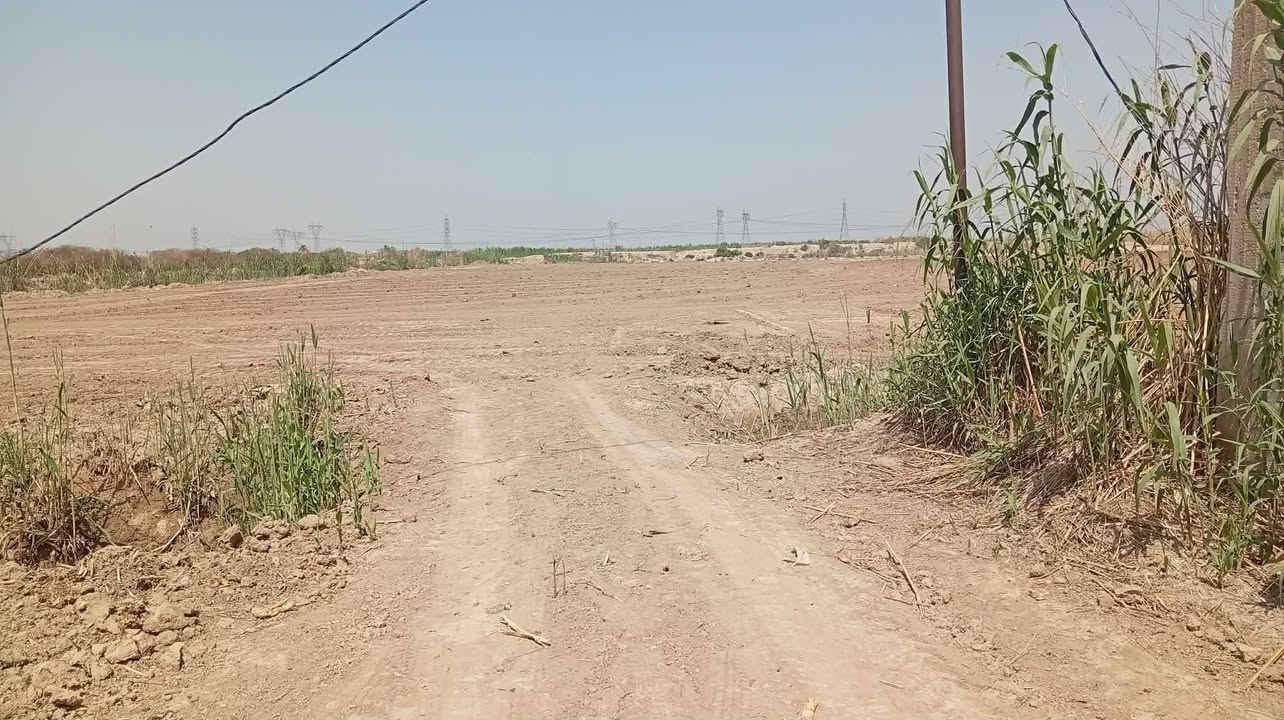 ارض زراعيه طابو ملك صرف مساحه 11 دونم...واصل لها كهرباء ومياه للسقي والتبليط يبعد عن الارض مسافه 50 متر 
تصلح مخازن او شركه او معمل او مزرعه..تباع الارض كامله..تحويل ثاني يوم للمشتري 
مجاور للارض توجد شركه الدواجن والاعلاف..وكذالك قريبه عنها ايضا توجد شركه ثانيه وثالثه..واجهه 140/نزال تقريبا 230/240
بغداد/المدائن/قريه الدرعيه الثانيه
***********
