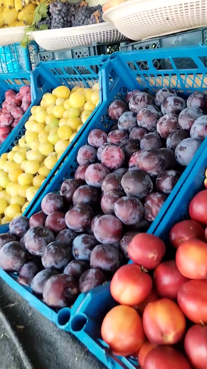 مسواك محلي درجة أولى 🍑🍑🍅🍅🍅🥒🥒🍐🍐🍐


**إذا كنت صاحب هذا الإعلان وتريد حذفه لأي سبب، رجاءا أرسل رسالة إلى الدعم الفني**
