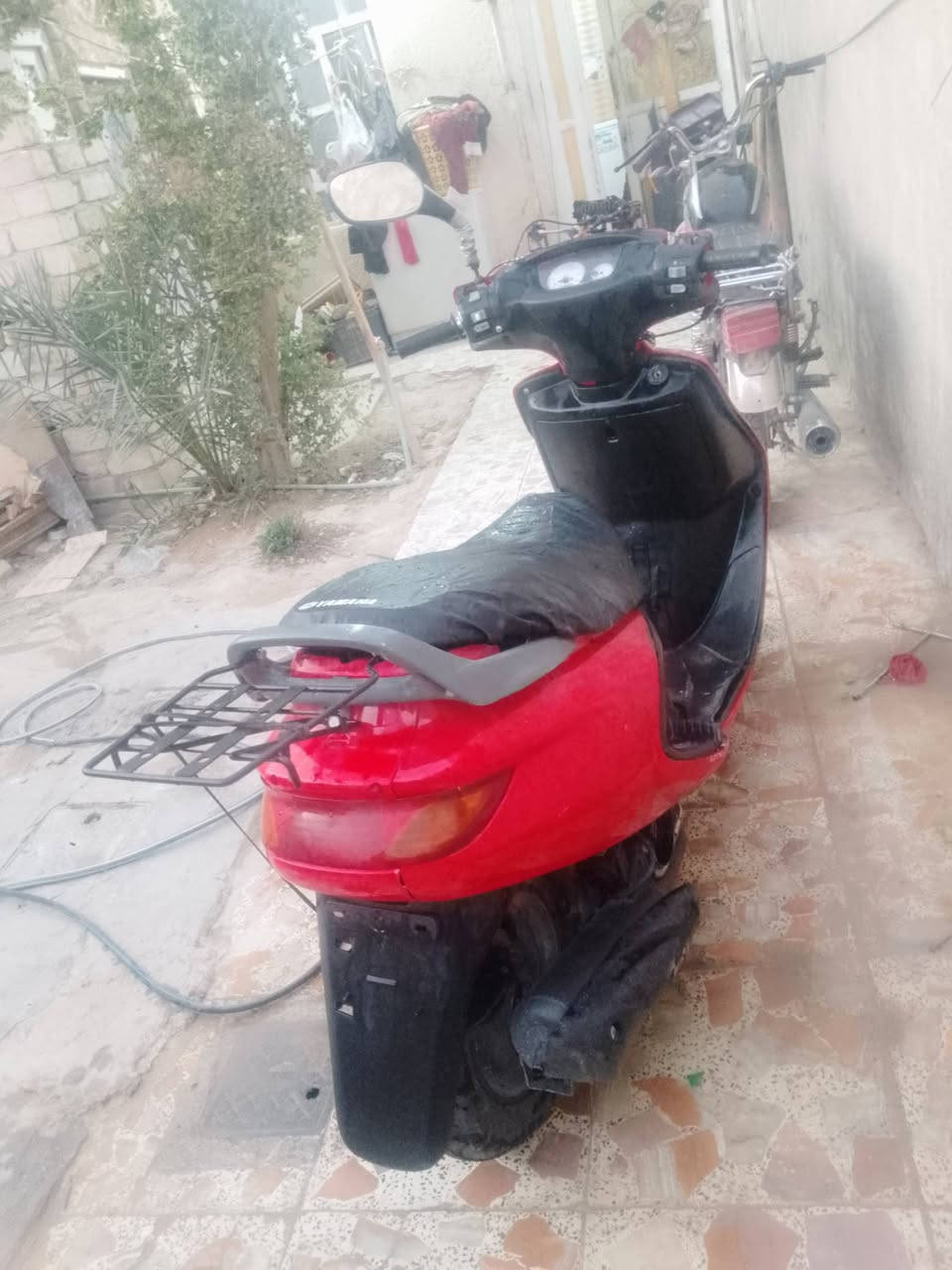 سلام عليكم عندي دراجه فراشه نضيفه احله من صوره بعد دراجه شغاله هندر دراجه ناعمه مامفتوحه نكره تشتغل سعرها 360 بيها مجال لشراي مكاني نجف حي نداء قرب جامعت كفيل رقم ***********
