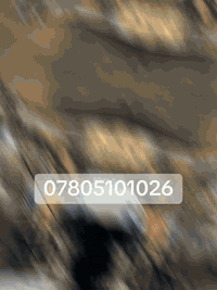 ورشه ثامر ابوعلي
حله الحي الصناعي 
***********
