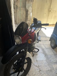 بوكسر جبلي • ٢٠٢٣ • اوراق