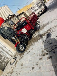 ستوته دايوان للبيع موديل ٢٠ شهر ١١ ستوته اوراق اصوليه ستوته نكره سلف ك...