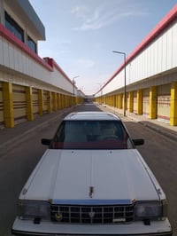 ١٩٨٥ • رقم ألماني • تايرات جدد