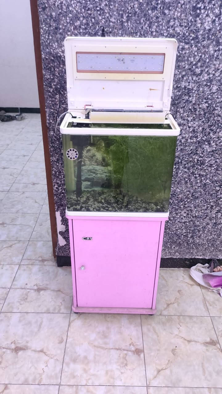 الى الاخوه هواة تربية اسماك الزينه. عندي احواض جديده بالباكيت واخرى مستعمله وباسعار زهيده اقل من الجمله كما توجد اعلاف ومواد مختلفه لنفس الغرض بعض الاحواض كبيره بطول 2م واخرى 1م ونصف متر وحتى دوارق دائريه صغيره


**إذا كنت صاحب هذا الإعلان وتريد حذفه لأي سبب، رجاءا أرسل رسالة إلى الدعم الفني**