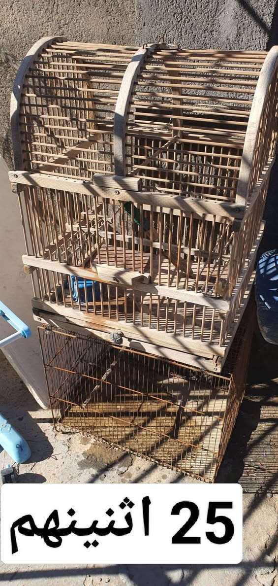 للبيع ..كربلاء المقدسه


**إذا كنت صاحب هذا الإعلان وتريد حذفه لأي سبب، رجاءا أرسل رسالة إلى الدعم الفني**