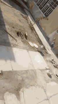 دار للبيع  طابو زراعي.  منطقه العريفية.           ‭٠٧٧٠ ٢٥٨ ٨٠٠٦‬بسعر مناسب
