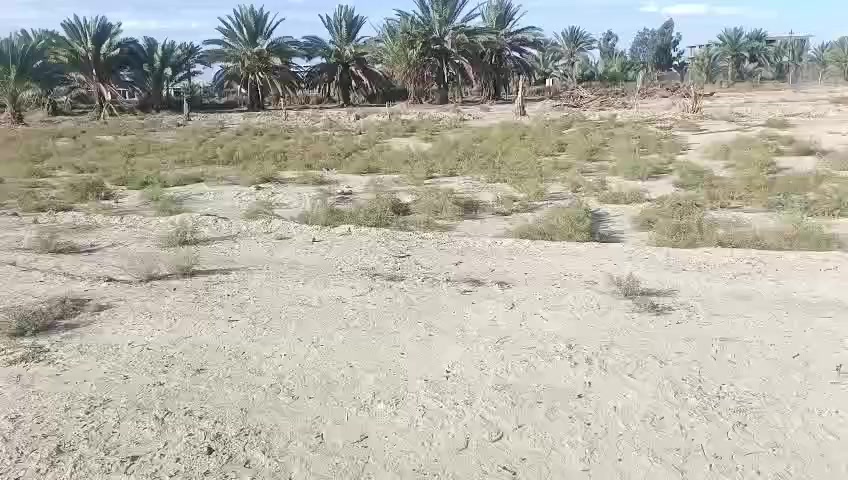 يا الله عرض مميز كلش
يعلن مكتب الرحمن حله شارع 100عن وجود 

قطعه 300متر طابو زراعي سند 25 تحويل مباشر 

الوجها 11

تصير سكن او استثمار 

خدمات كامله  ماء اساله كهرباء تبعد عن التبليط 200متر 

كلش قريب على العلويه شريفه بنت الحسن عليه السلام قرب عباس علوان وهم قريبه مزارع النخيل 

العنوان حله قرب العلويه شريفه بنت الحسن عليه السلام 

السعر والتفاصيل أكثر خاص او الاتصال على الارقام او المراجعه مكتب الرحمن حله شارع 100 

#ملاحظة# لمن يرغب في

 عرض عقار او ارضه طابو صرف او طابو زراعي عليه مراسلتنا او الإتصال

***********

***********
