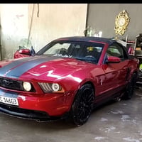 موستنك • ٢٠١٠ • كركوك