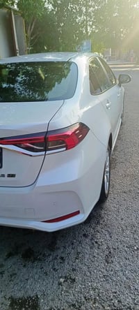 كورلا • ٢٣ • رقم اربيل