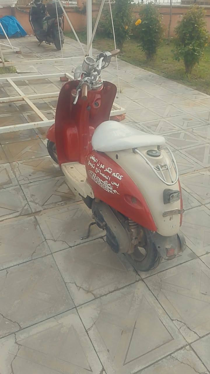 مأطور عبد الحليم نضافة فول معمر مرة واحدة تحريكه معدل سعر خاص او اتصال عل رقم ***********
