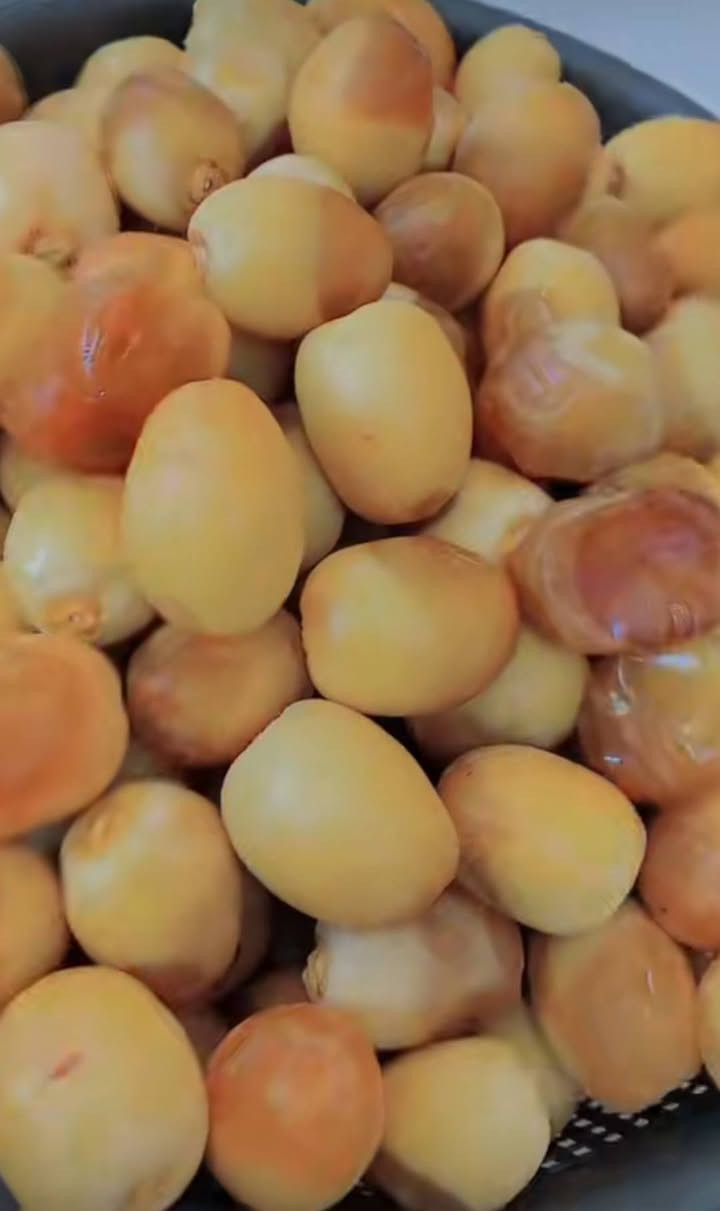 فساااااائل برحي  للبيع خشنات وخير من الله. حرات اصليات  التمره المدعبله سعر الفسيله الوحده 110.للبيع الكميه محدوده امانه الله ورسول مال مزرعتي وليس بياع شراي ولا تاجر مالتي وهاذا ثمرررررر كدامك مخليلك عثك لشوف تاكل وتشلع بيدك العنوان واسط ***********
