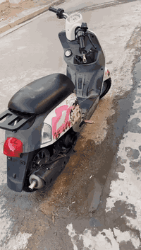 دراجه بوليس للبيع دراجه مزوعه تزويد وكله اصلي مكينه بلاديه برغي ممفتوح...