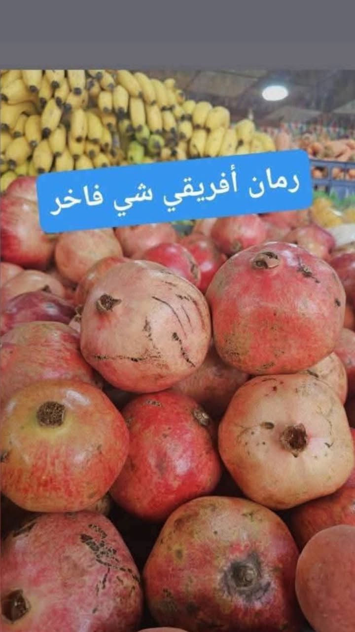 تشكيلة مميزه ومتكامله وكلشي متوفر 
تجي تشوف بعينك وتختار بأيدك 
تريد توصيل يوصلك بسرعه واحسا من الي تختاره 
تكريت القادسية شارع البلاج قرب الصيدليه العالميه 
*********** كل الوقت 
***********مسائا
