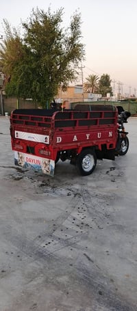 ستوته دايون • موديل ١٩ • أوراق كامله