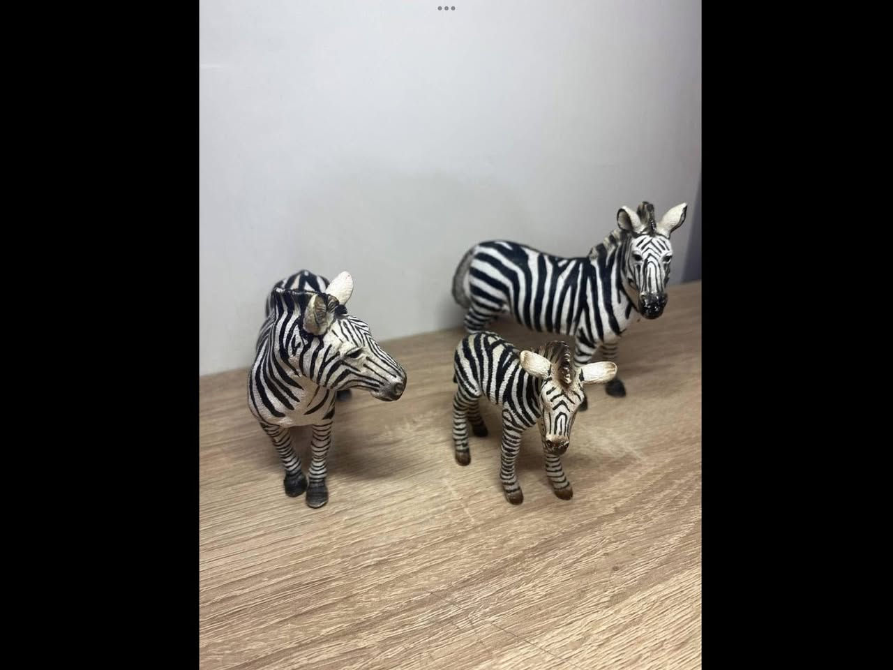 حيوانات وديناصورات اصلية
لايوجد توصيل


**إذا كنت صاحب هذا الإعلان وتريد حذفه لأي سبب، رجاءا أرسل رسالة إلى الدعم الفني**