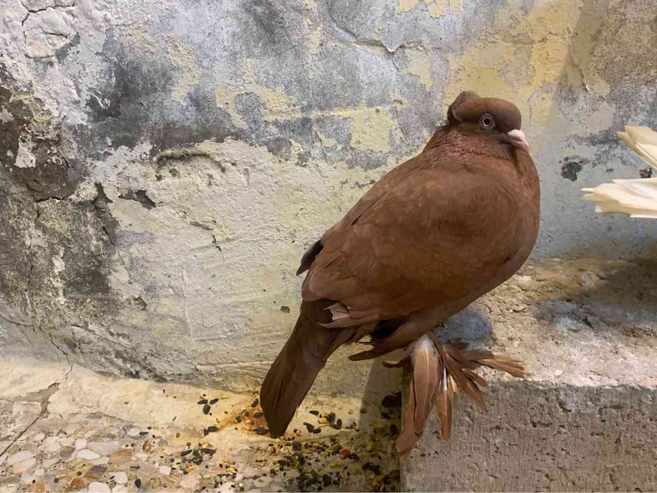 بسم الله ،اللهم صل وسلم على محمد وآل محمد، حمام رواعب للبيع للتقيم والبيع النجف, العراق


**إذا كنت صاحب هذا الإعلان وتريد حذفه لأي سبب، رجاءا أرسل رسالة إلى الدعم الفني**