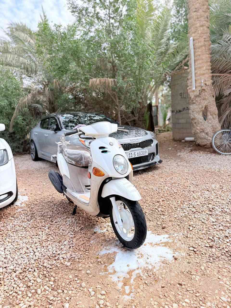 السلام عليكم شباب دراجه فله للبيع مديل 13كفاله من الزلغ ختم واحد وي المكينه دراجه اي نقص مابيه 
استفسار عل هذا الرقم ***********
الديوانيه قضاء الدغاره
